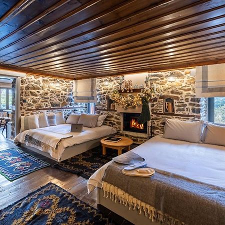 Dandy Villas Metsovo-Mezzo-Down Town-Up 5 外观 照片