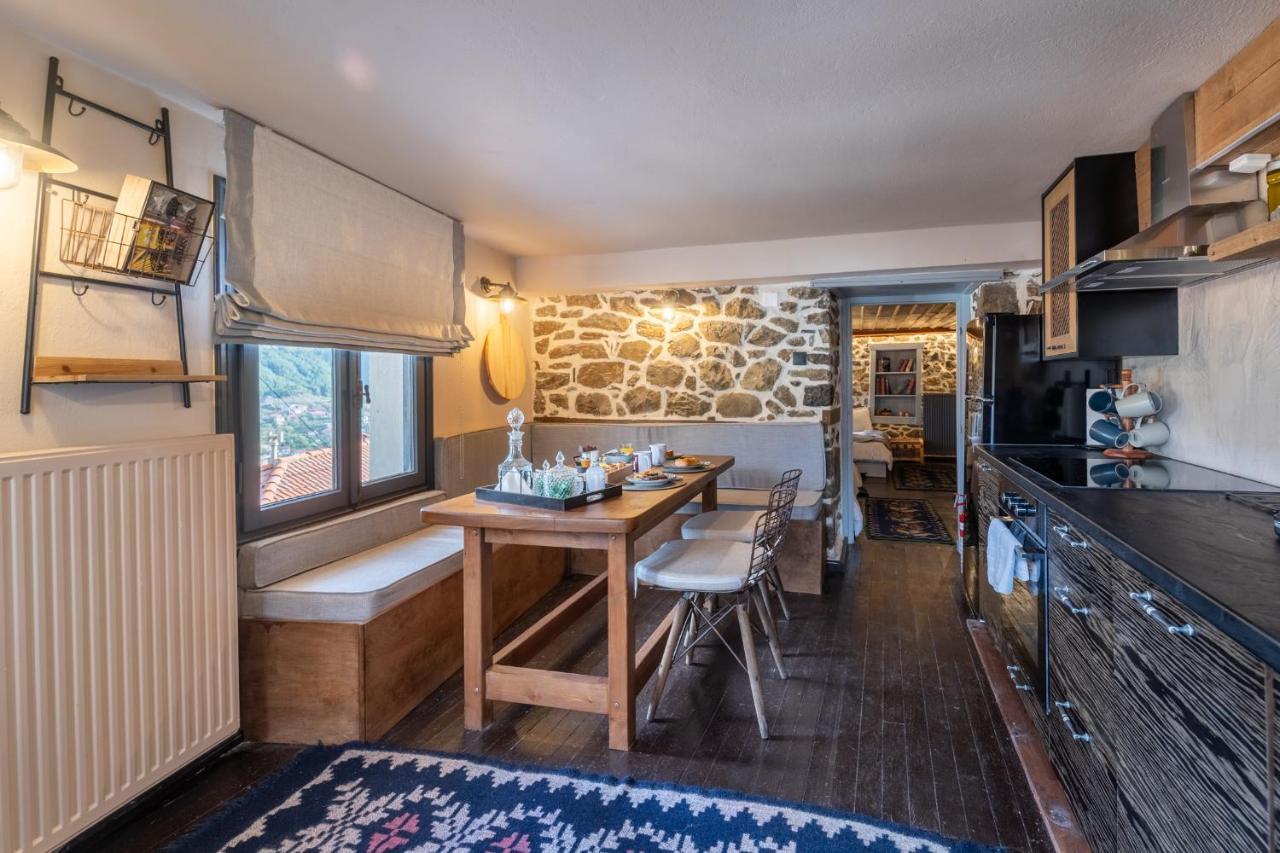 Dandy Villas Metsovo-Mezzo-Down Town-Up 5 外观 照片
